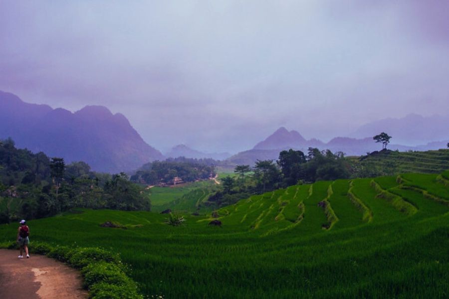 Scenic rice terraces in Pu Luong Vietnam with traveler exploring nature – Auasia Travel